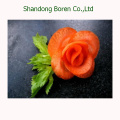 2015 Neue Gemüse Chinesische Neupflanzen Frische Karotte